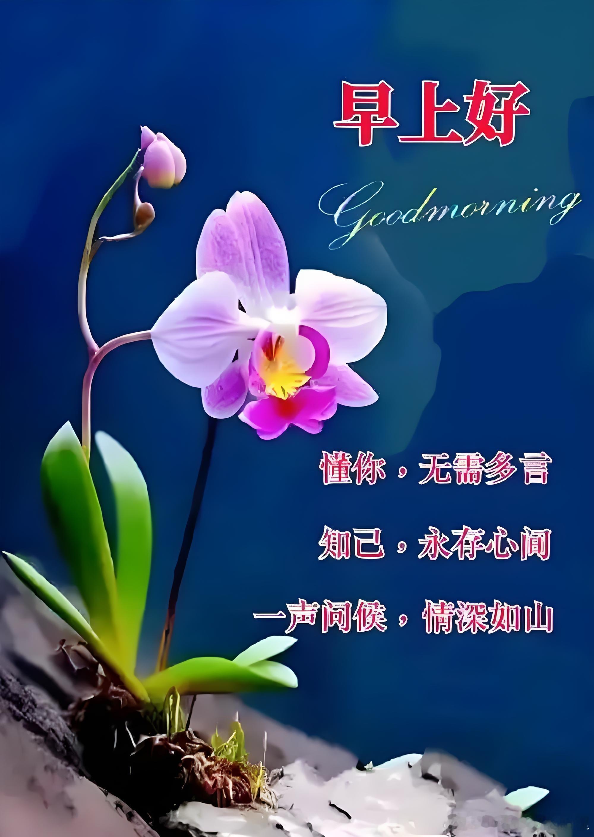 小运播报：2025年11月2日，星期日，农历九月十三 (乙巳年丙戌月乙亥日)，法