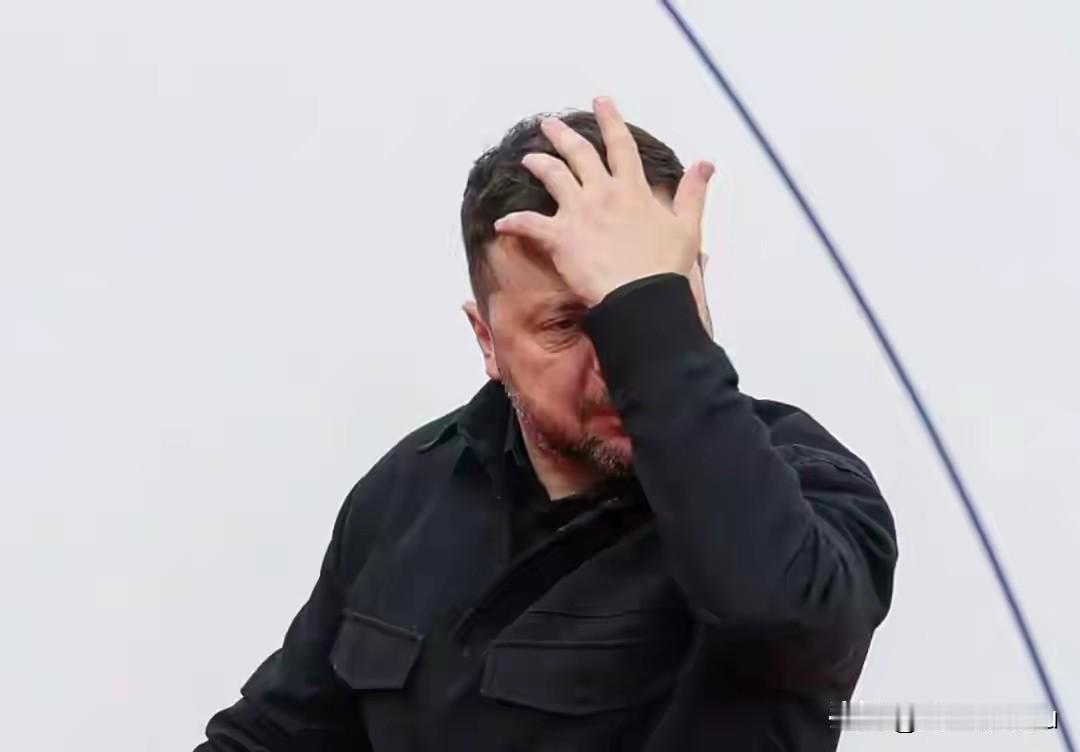 泽连斯基的那封信怎么就激怒普京了，不是泽连斯基没有诚意，而是普京目前不需要停火，