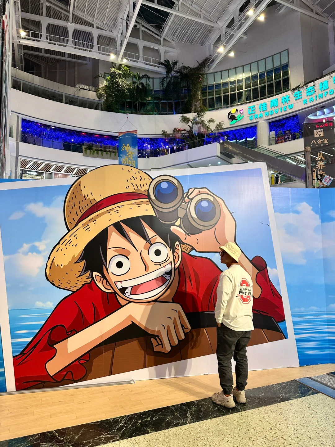 航海王他来了！