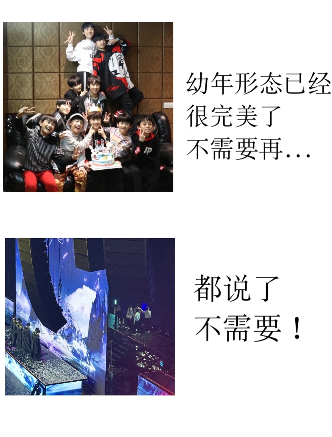 都说了不需要！ 