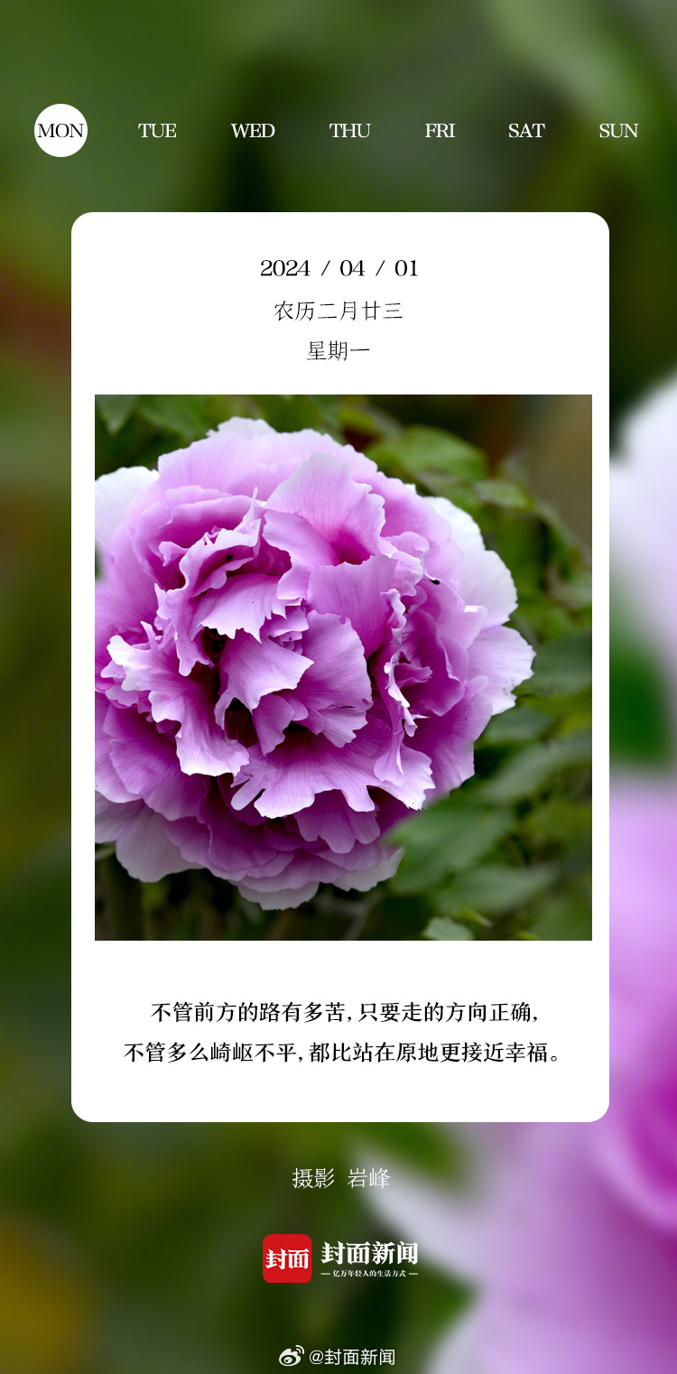 #小封日历# 早上好！4月的第一天，这个月你有什么小目标？ ​​​