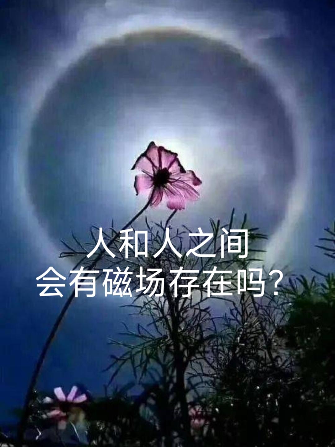 人与人之间也有磁场的，你信吗？
       我相信，人和人之间真有磁场。走在街