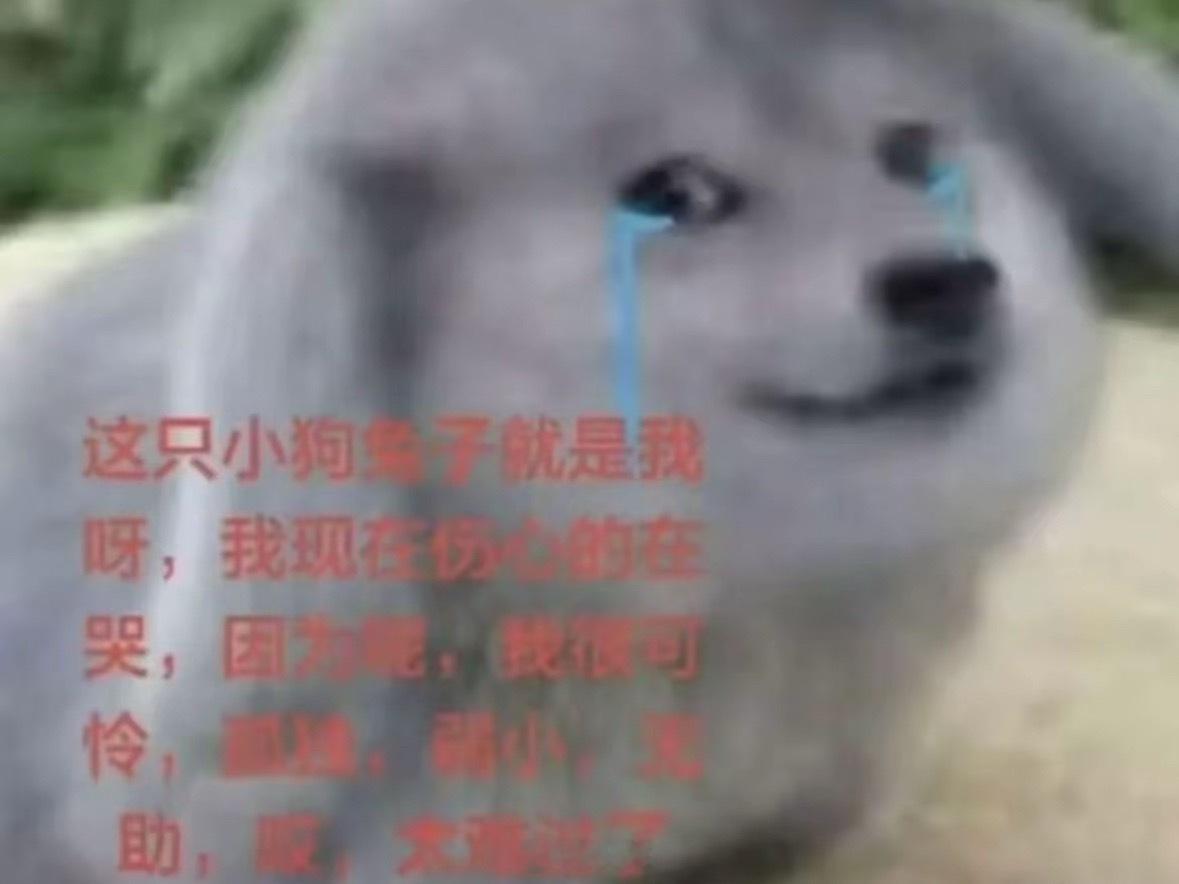 分享图片 