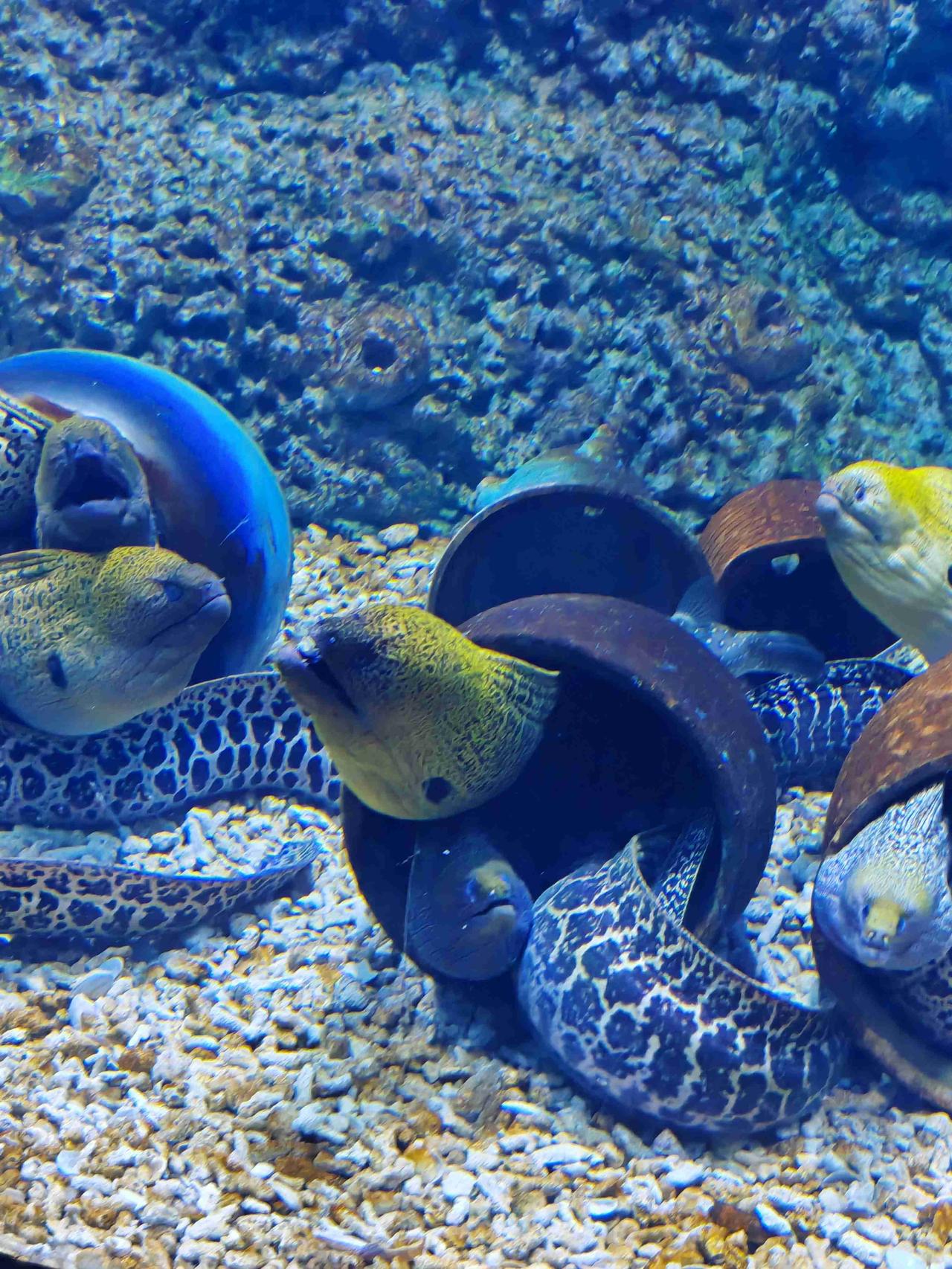 我的今日状态：💰期待暴富
我这里的天气：☀️晴天