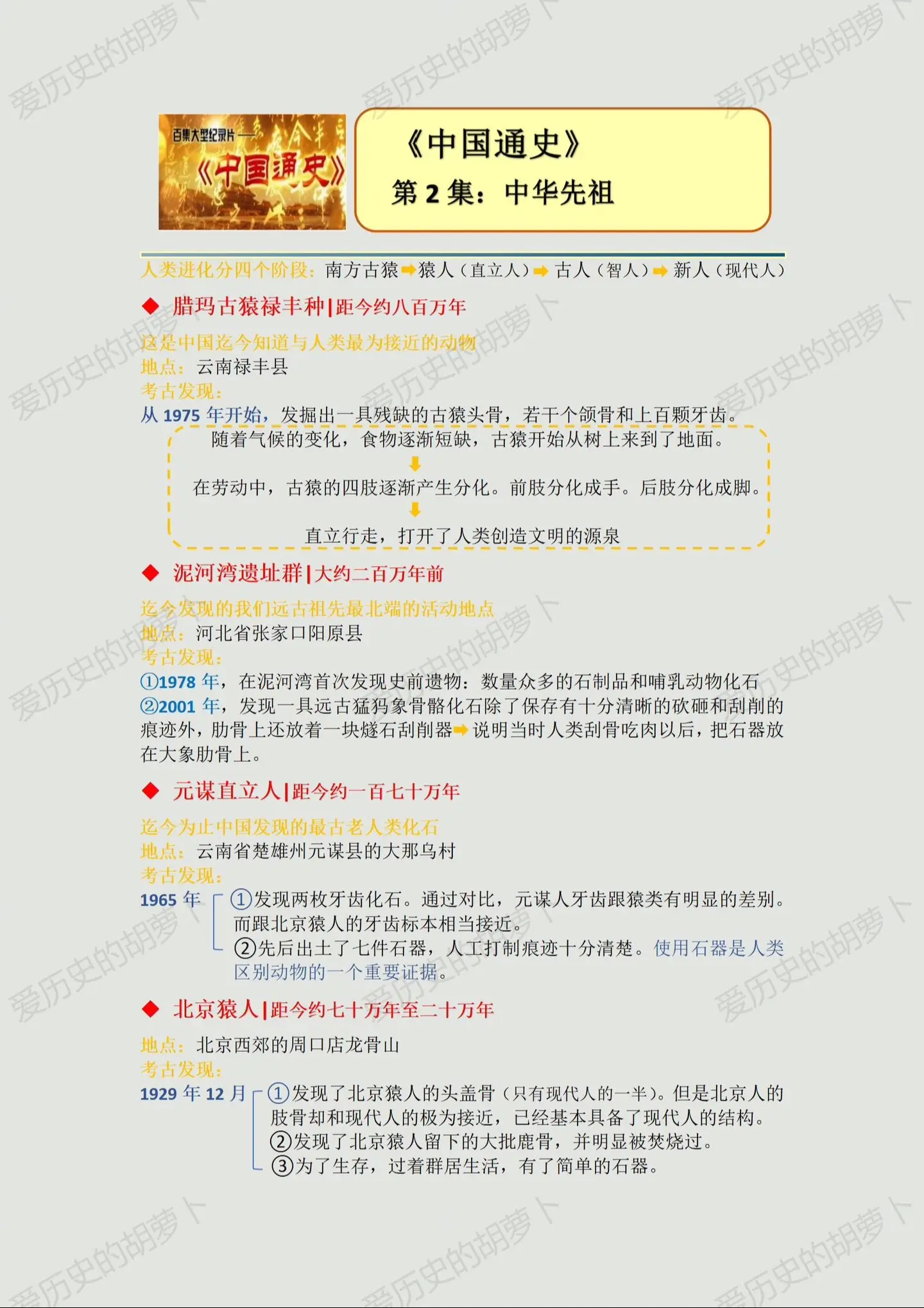 中华先祖，你还记得吗？