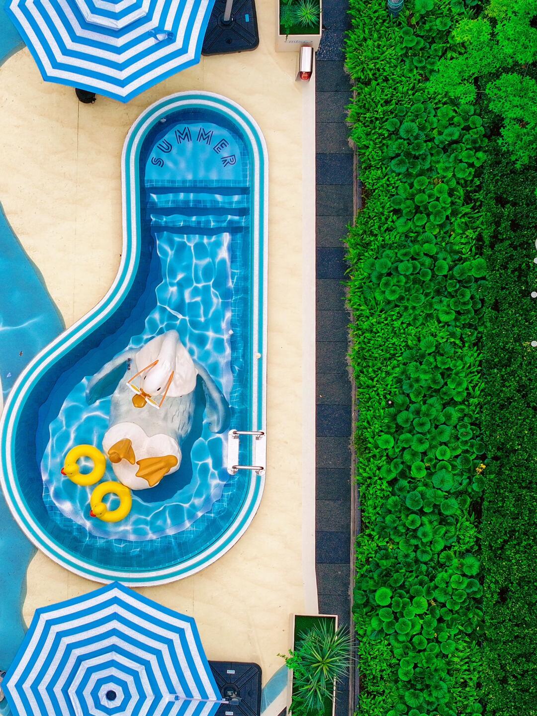 温州快闪｜Moj的限定夏日蓝，可别错过呦～～