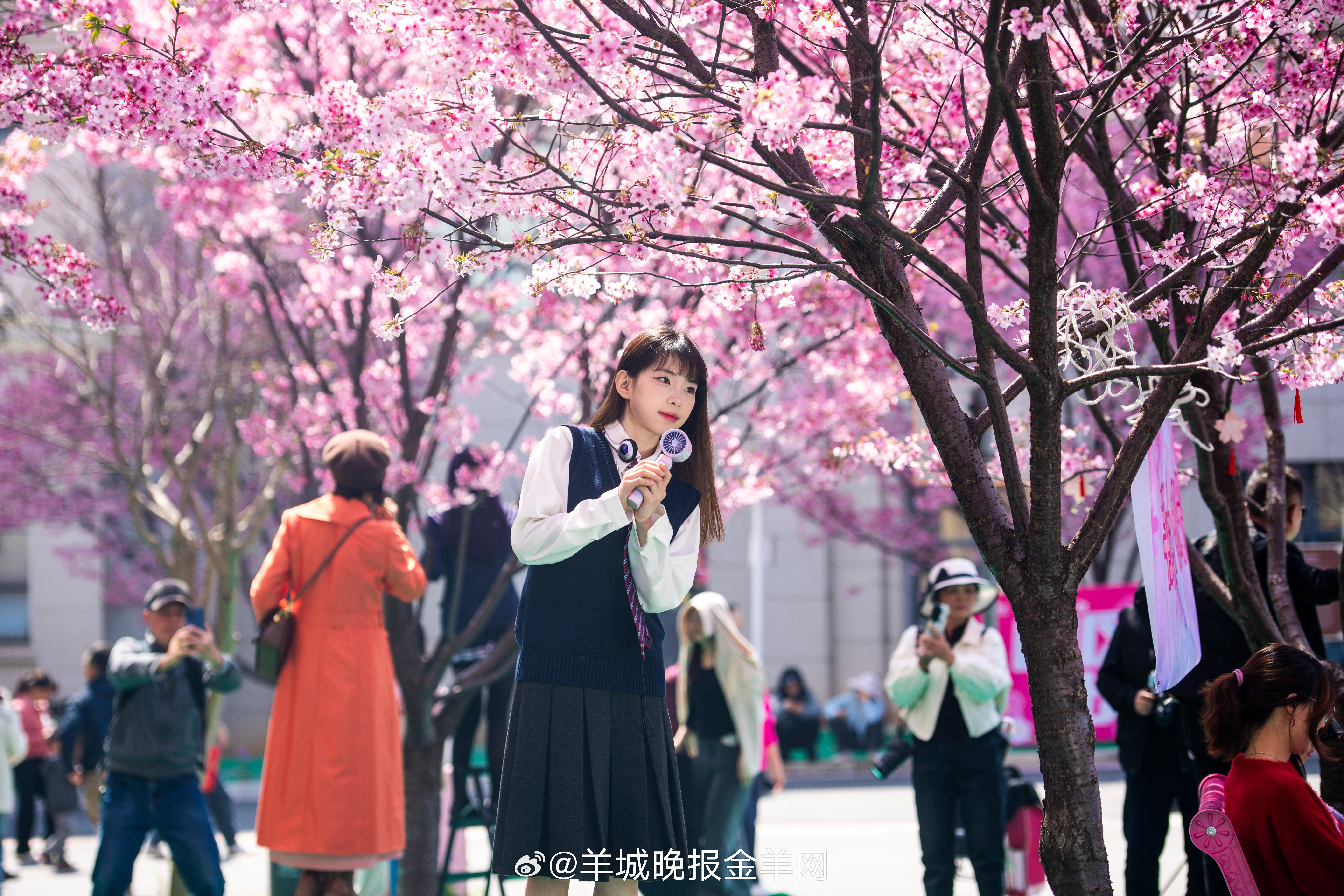 #早安# 城市在熹微中苏醒，光线爬过窗台。早安，愿你如这初升的朝阳，自带光芒，温