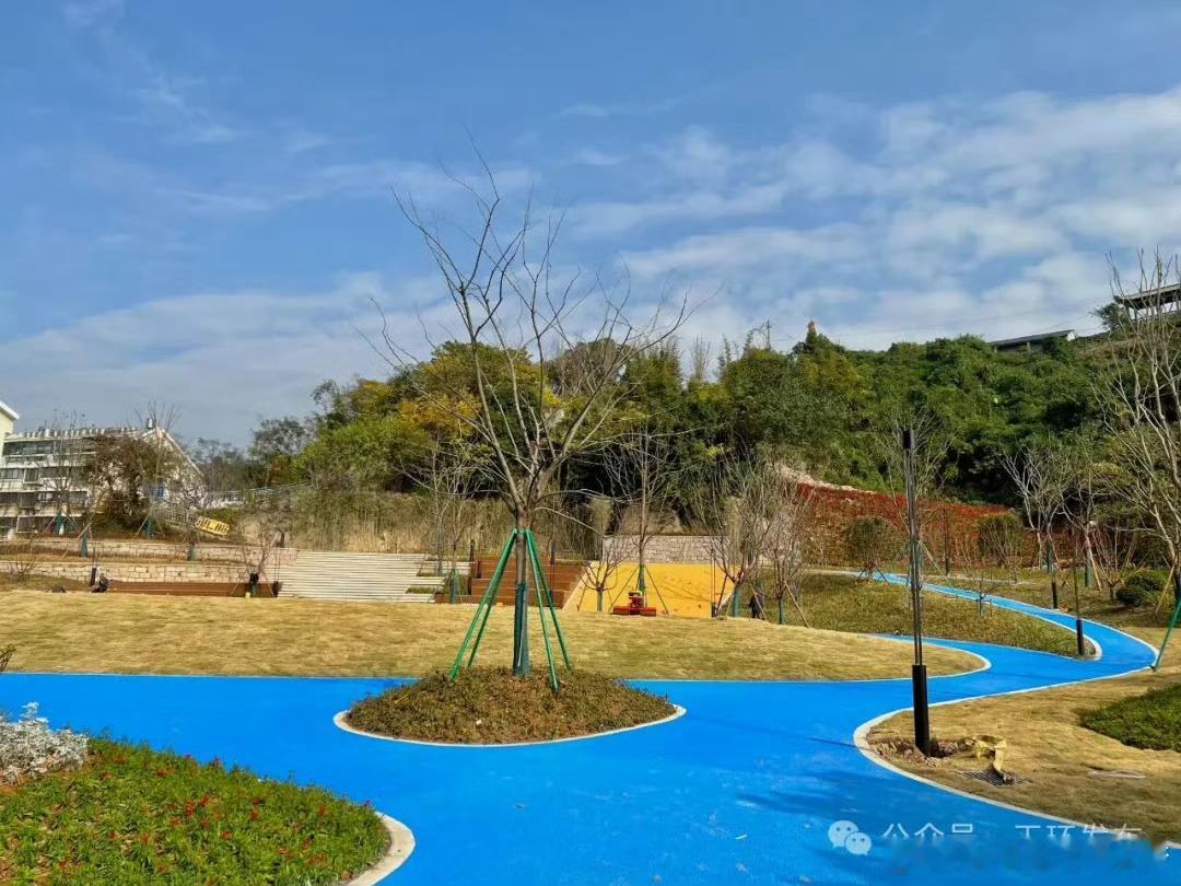 台州把边角地变成新乐园市民竖起大拇指见缝插绿，盘活空间！台州巧用城市边角地，打造