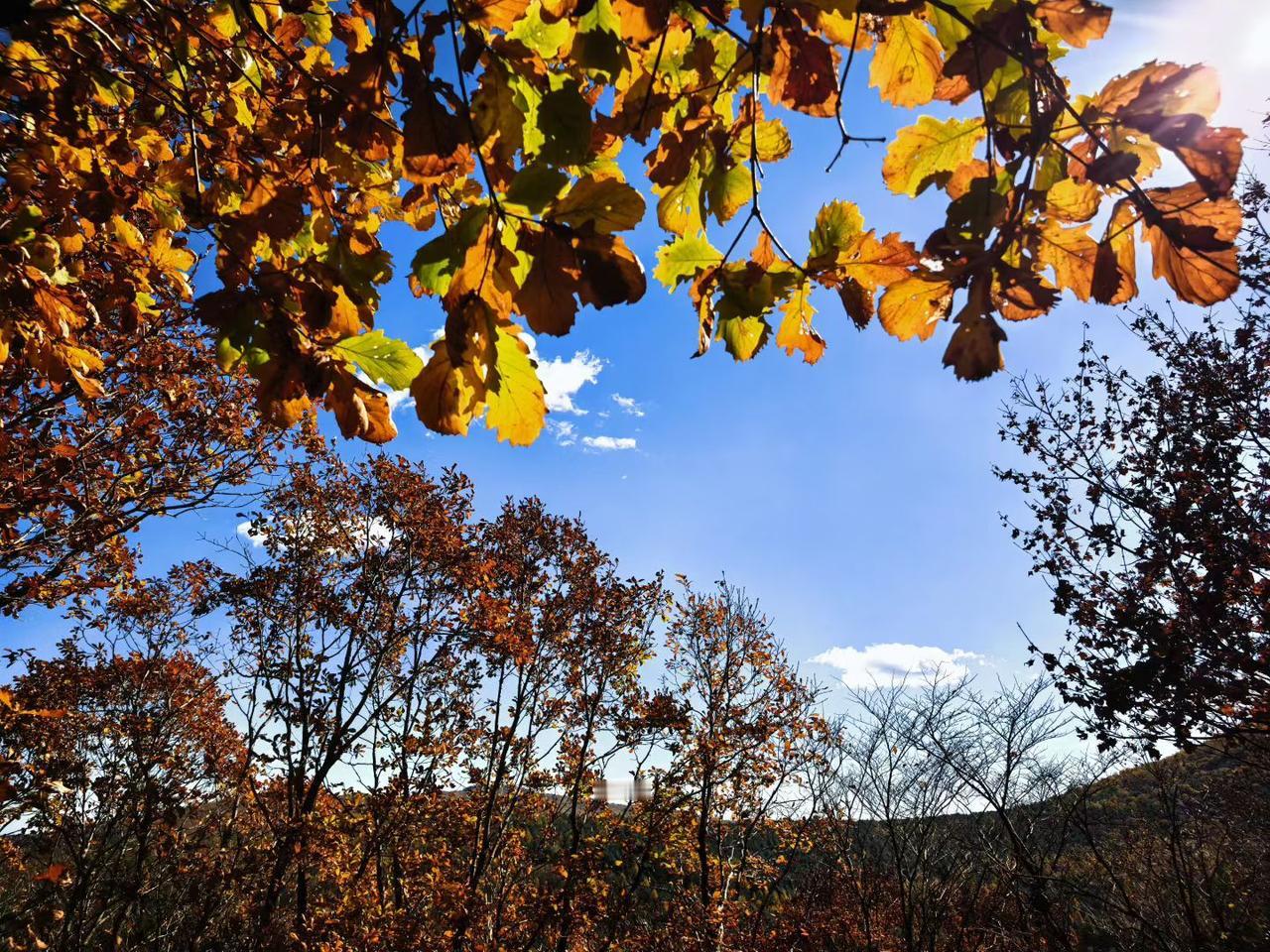 我的家乡，黑龙江绥阳镇！