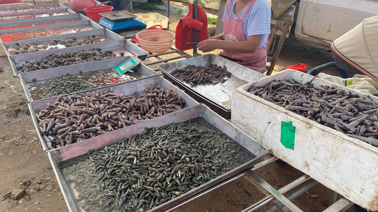 这里是青岛农村大集，这里的海鲜有点便宜
