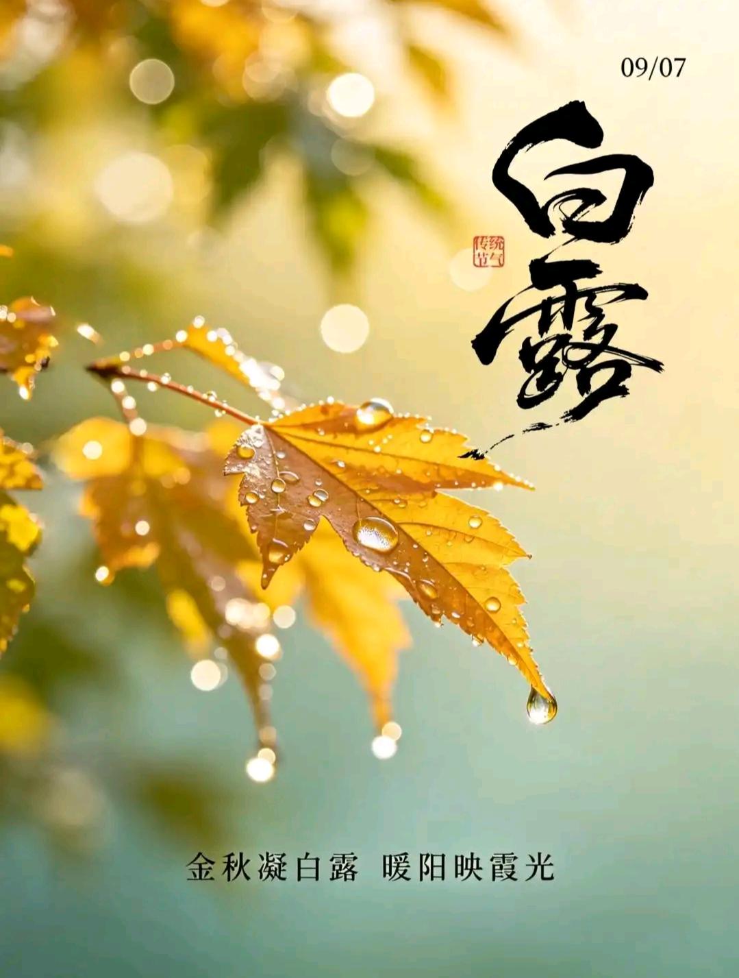 秋深凝白露，心静纳清欢。又是一年白露至，新的一天，放下心中的疲惫与烦忧，怀揣一份