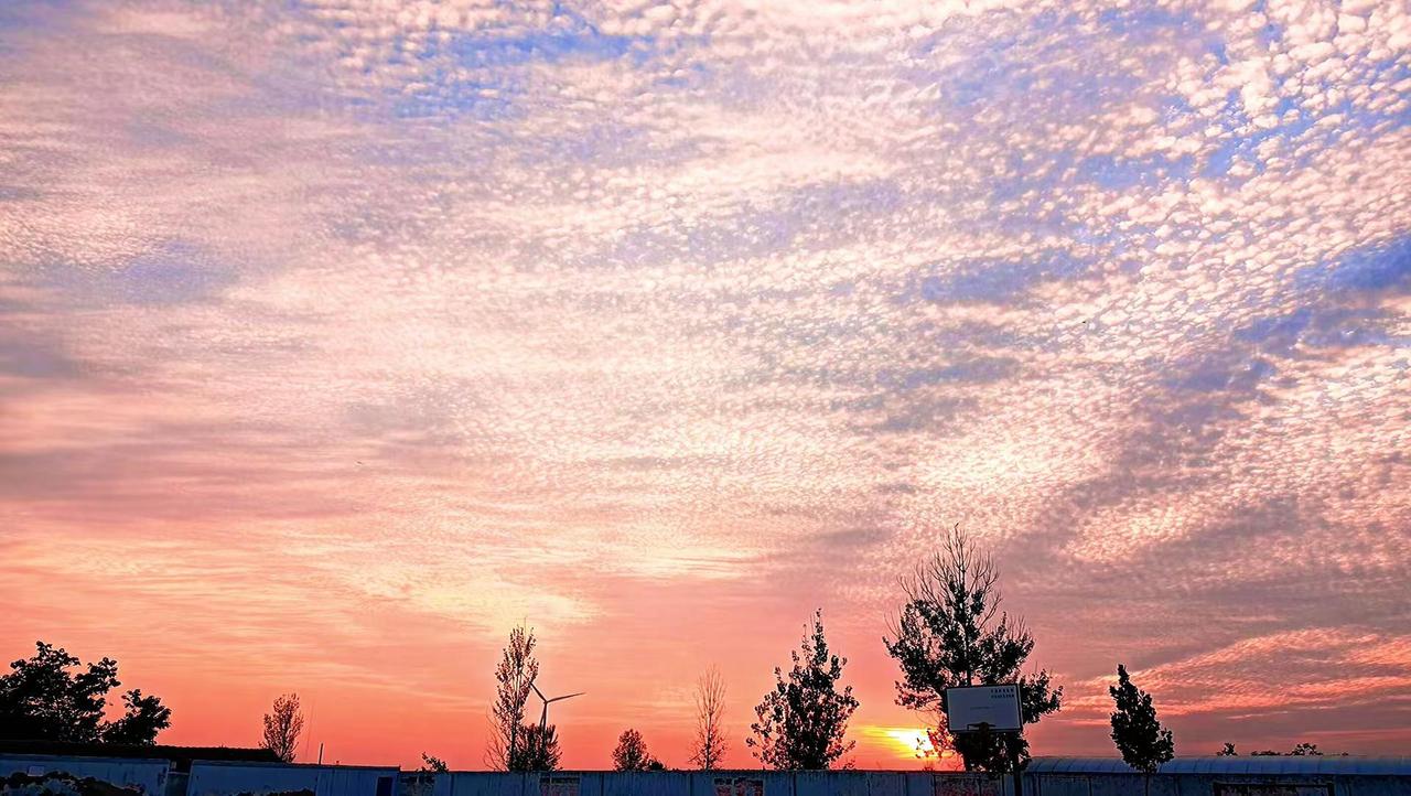 每一次拍夕阳都是疲惫后的一次治愈。