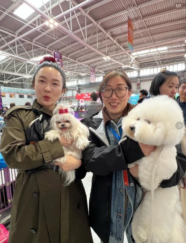 网友偶遇霍思燕，作为喜爱狗狗的人，霍思燕越活越接地气了。
素颜就出门参观宠物展览