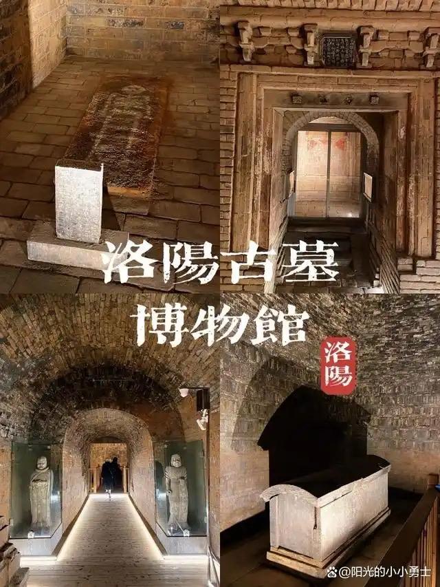 北邙山头的累累荒冢，见证了东周以来无数王侯将相的荣枯。这次战国大墓中出土的千枚“