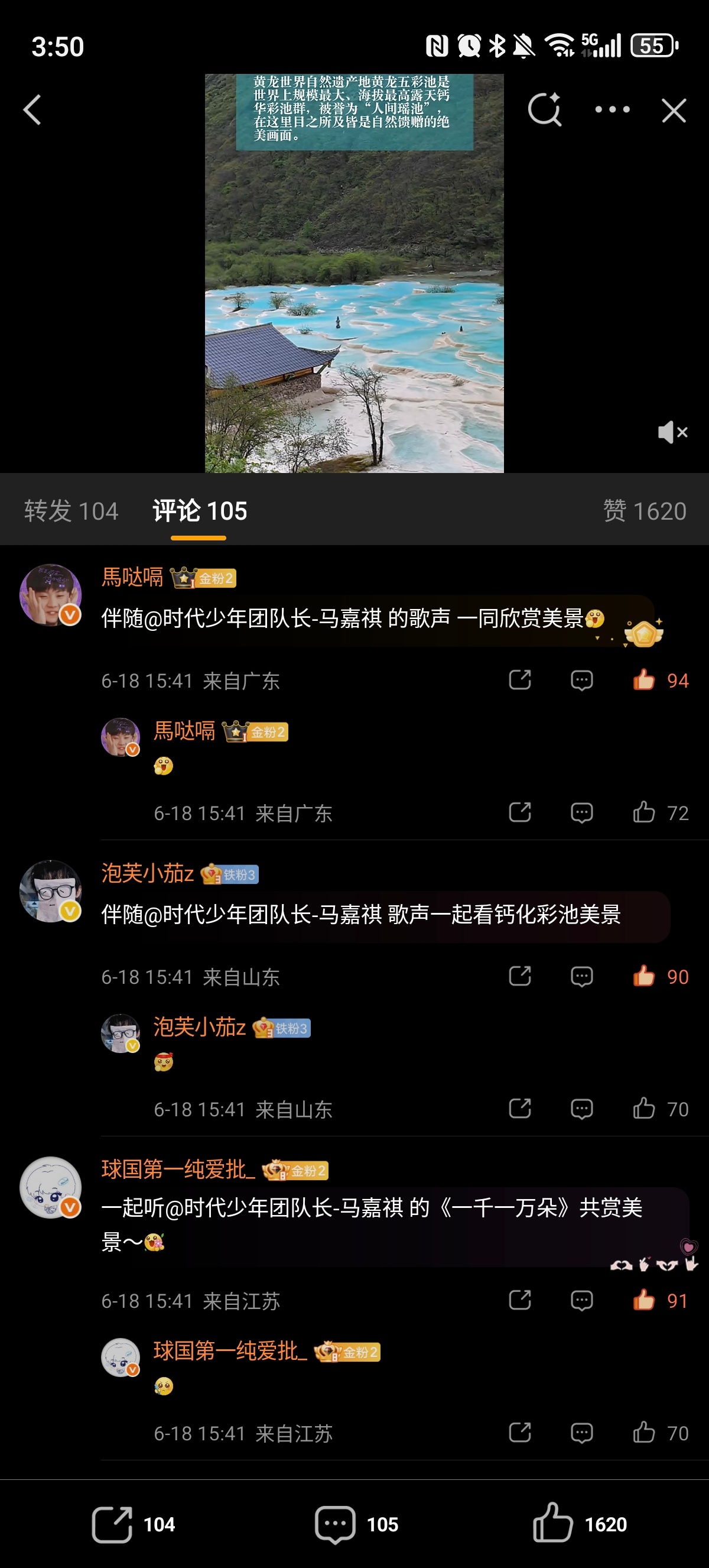 ✔️🈳网页链接  专栏 · 🈳评组