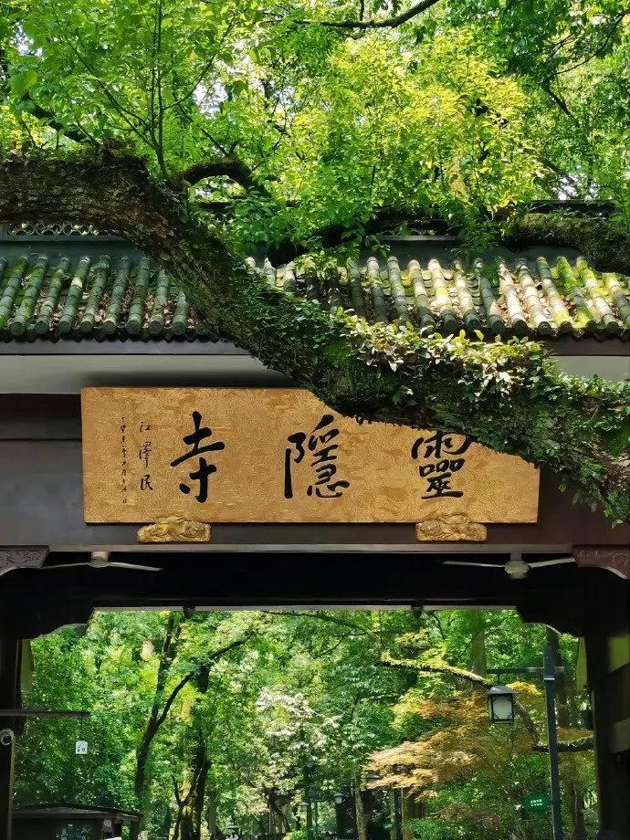 一生都在为认知买单:“人吃五谷杂粮，生病是很正常的，所以不要把生病看成老天对你的