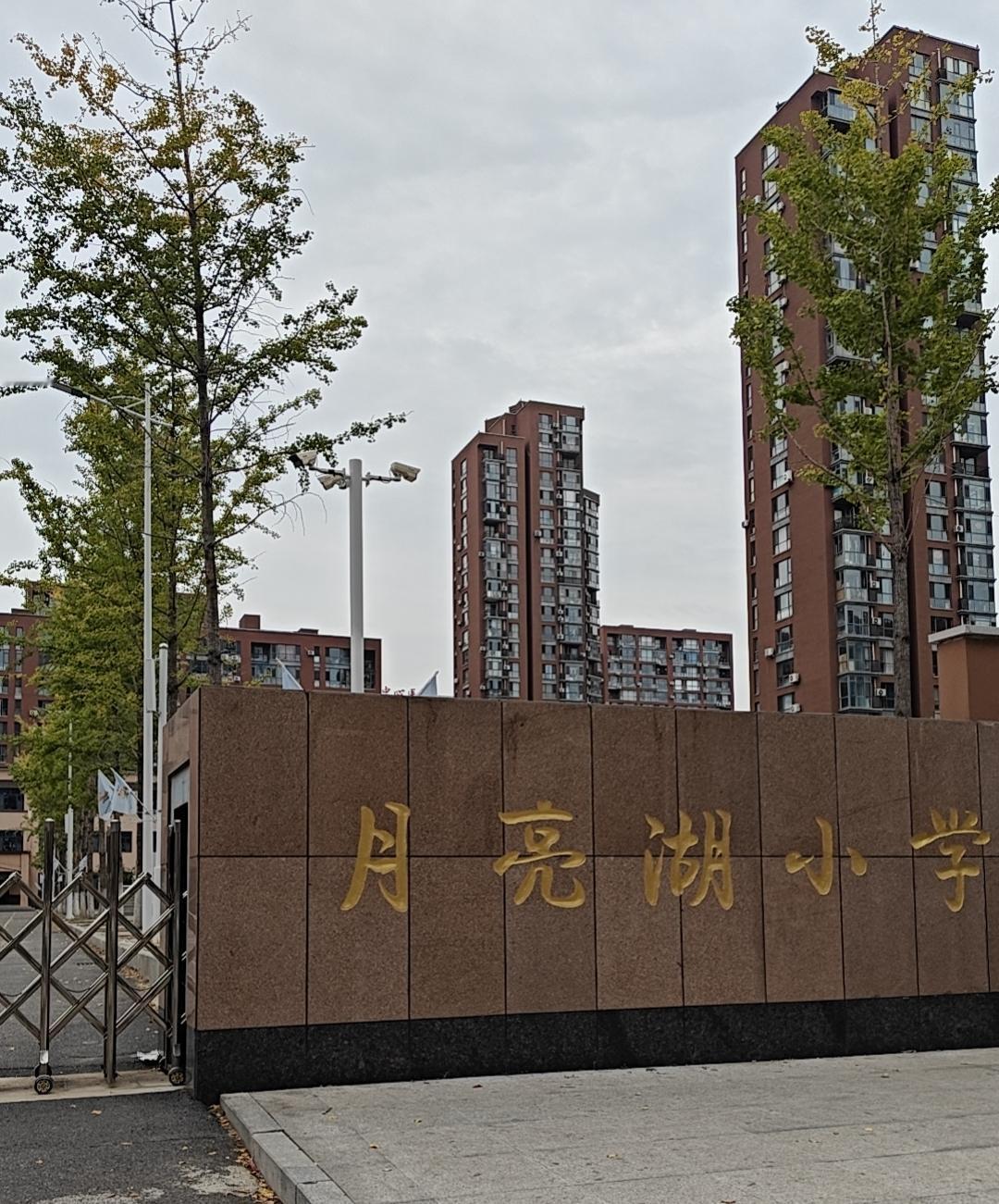月亮湖小学就在我们小区隔道就是，一个月来校园里是静静的，操场上看不到一个小学生。