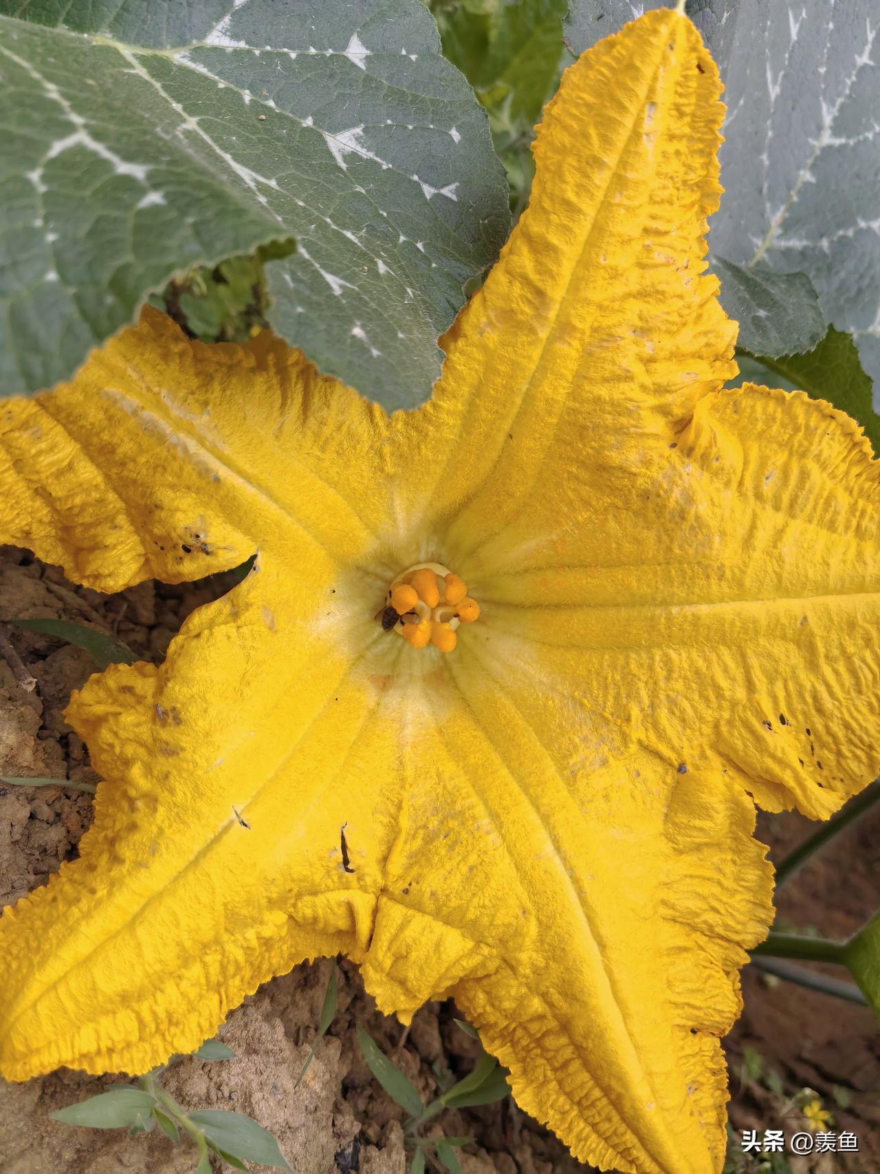 当你老了,钱和健康哪个重要?我现在觉得我也老了，觉得钱和健康同样重要。如果没有钱