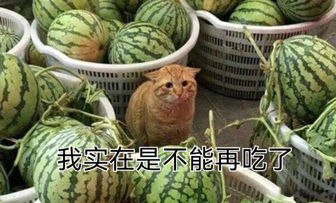 每当你以为微博要死了，立刻就会有从天而降的猹带我们打开新瓜田的大门