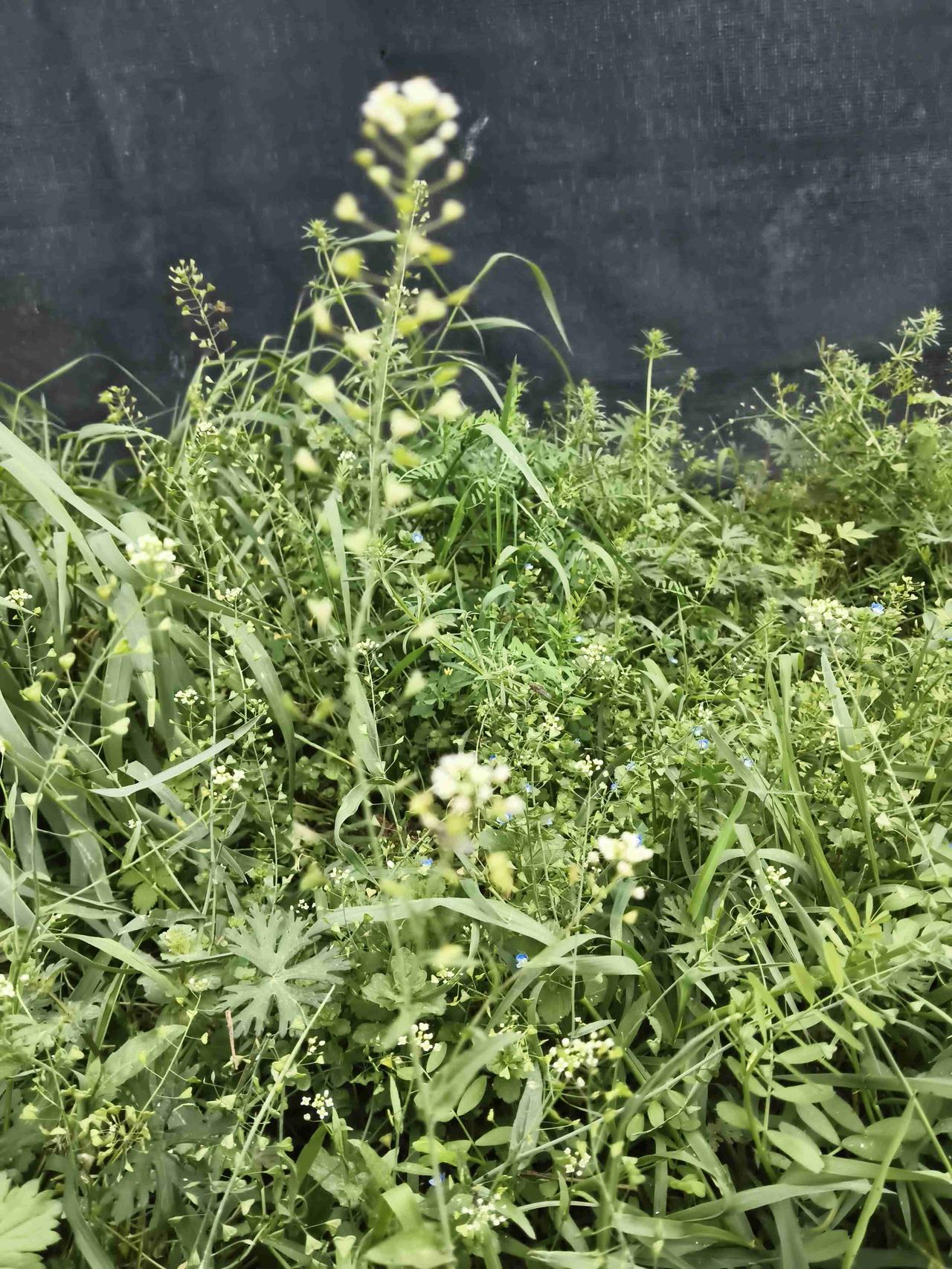 我的今日状态：😁轻松愉快
我这里的天气：☀️晴天