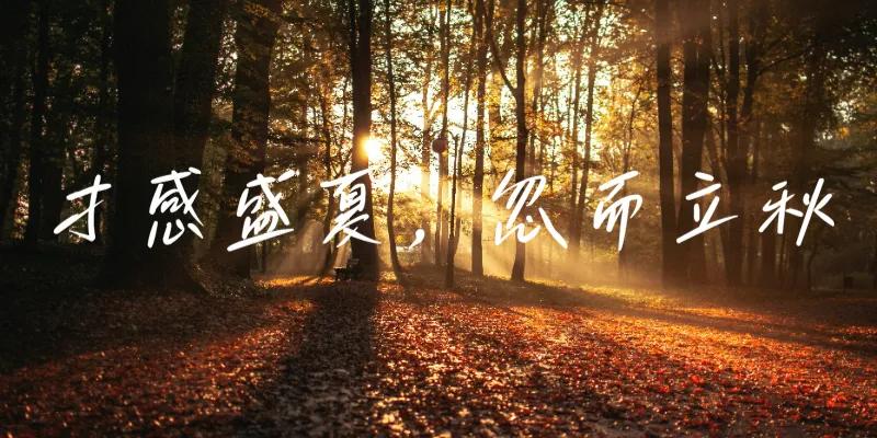 七绝  一夜知秋  新韵
微凉拂面夜风柔，落叶悲哀诉苦愁。
谁料低温潜入梦，晨来