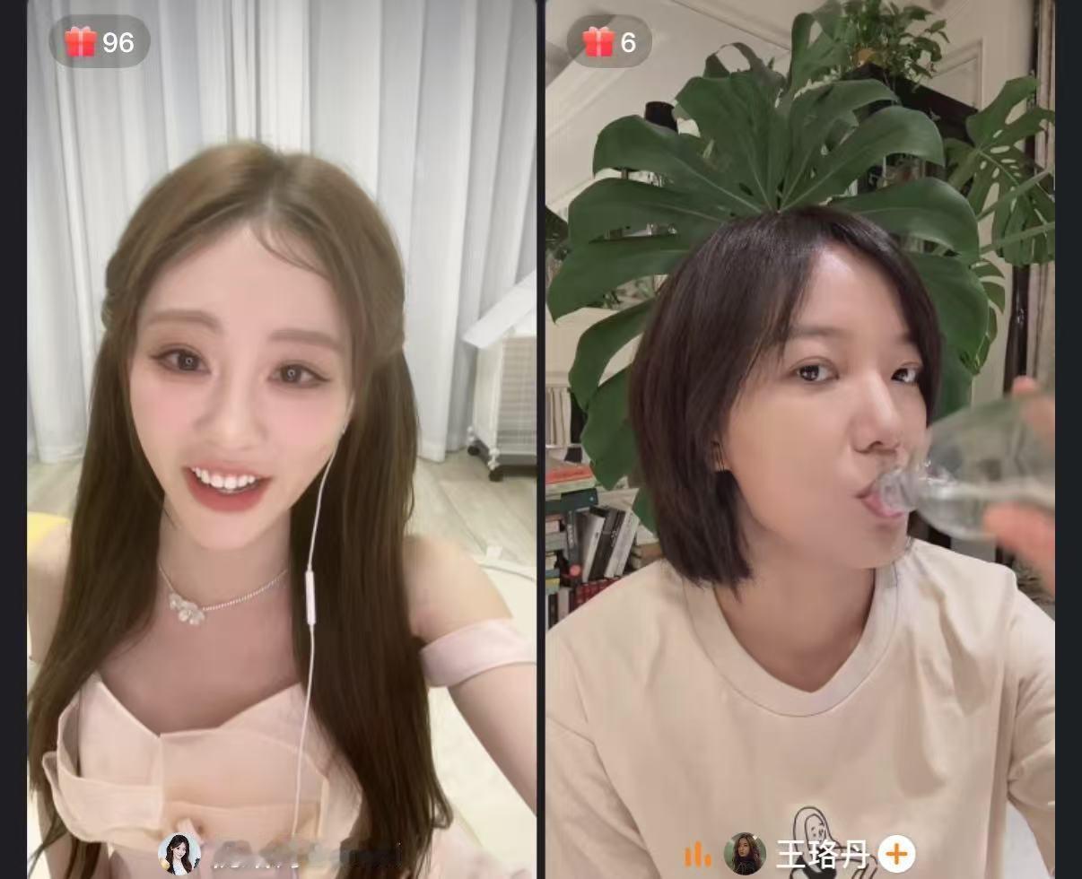 王珞丹初见祝绪丹觉得她像虫子 王珞丹说祝绪丹像个虫子在咕蛹 王珞丹的形容太有画面