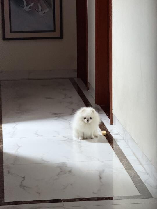 又出门不带我是吗？