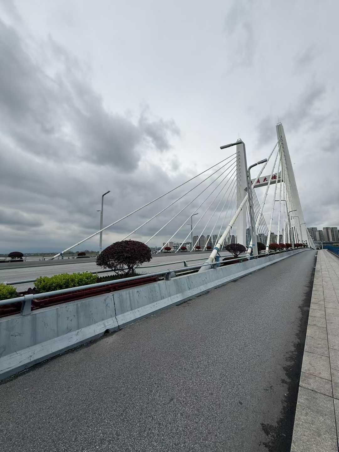 很多人说喜欢对方，但他们只是普普通通的喜欢对方一下，摸摸对方的叶子，亲亲对方的花