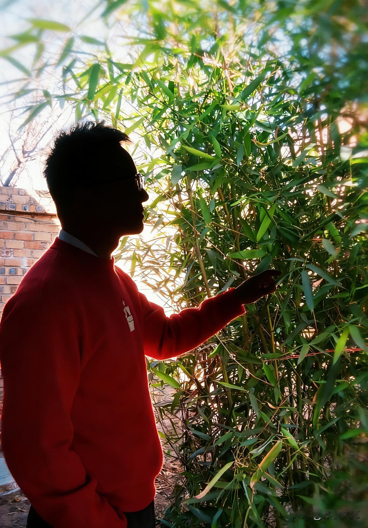 有时候，我也是一件商品——
一把生了锈的锁
或是一只老旧的25瓦灯泡

我藏在星