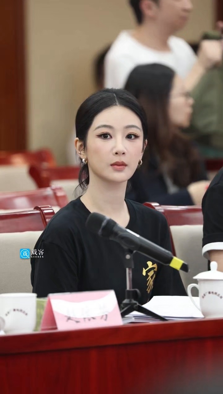 杨紫参加《家业》座谈会生图状态。 