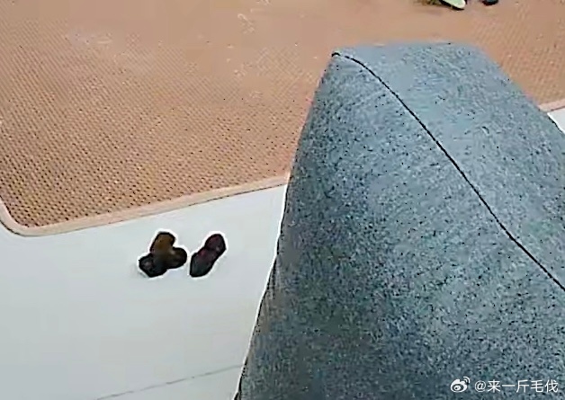 小乐晚上要挨揍了 