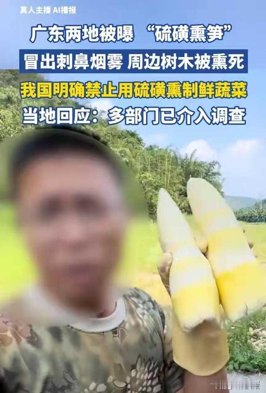 清远硫磺熏笋事件属实，多部门介入彻查

这次硫磺熏笋事件炸出的绝非只是黑心商家的