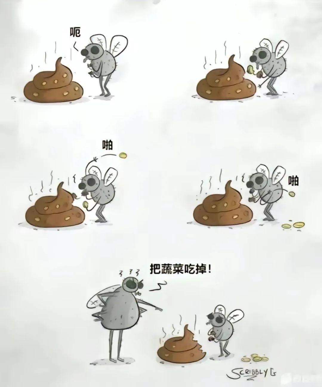 挑食可不好