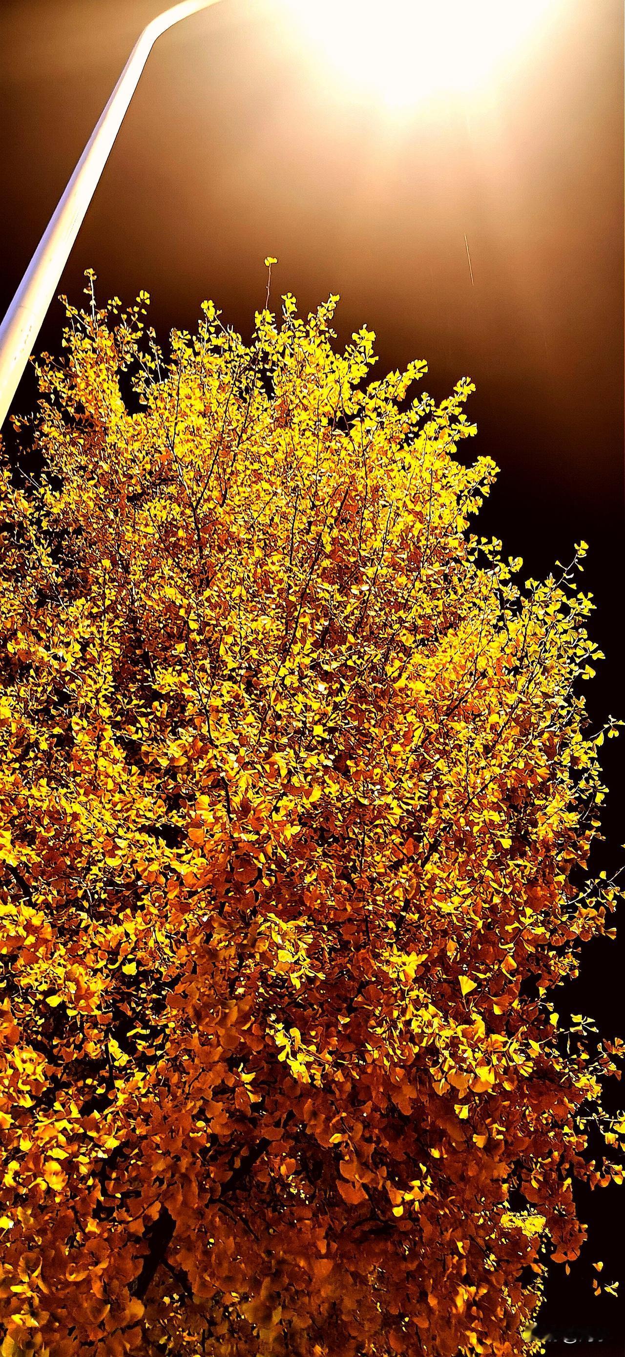 人到中年，像我这样的男人，像我这样的“祥子”变少了吗？没有，而且还是变多了。
