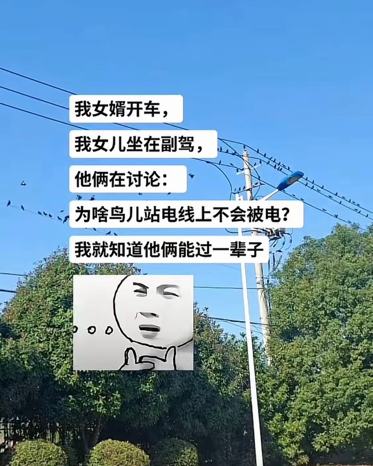 为什么鸟儿站电线上不会被电？