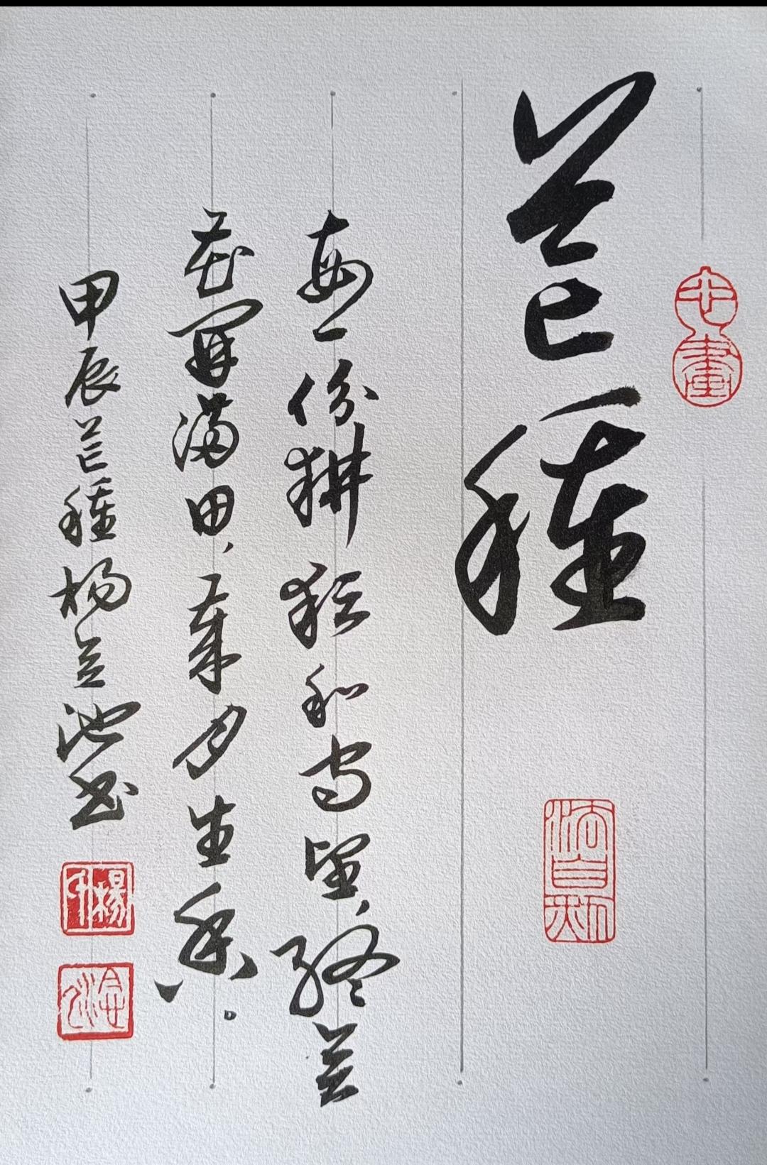 今日芒种。