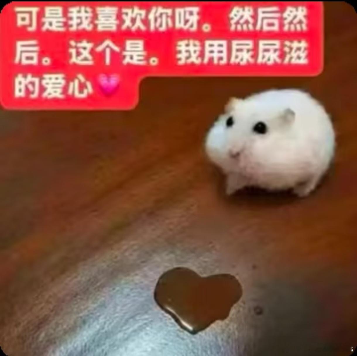 反正我很喜欢你们 ​​​