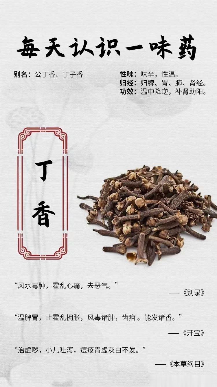 #国医的精诚力量##每天一味中草药##论道岐黄# ☘️【每天认识一味药】    