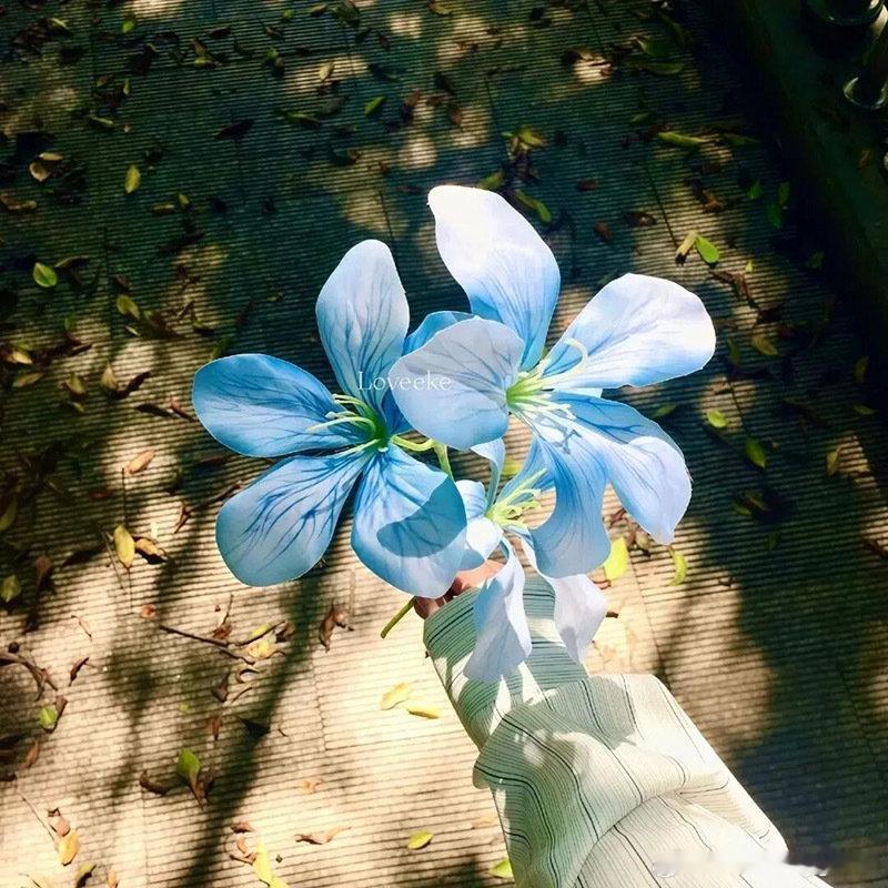 每日一善  阳光信用 阳光，是前行的火，点亮我们前行的灯；阳光，是前行的灯，照亮