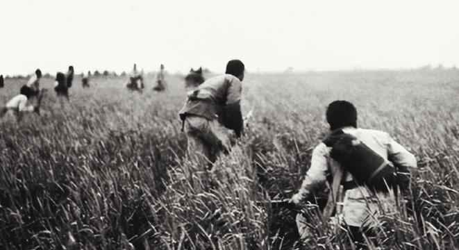 抗战中，八路军张智忠护送黄金途中遭敌伏击，仅带一位战士突围。不料战士见财起意，竞