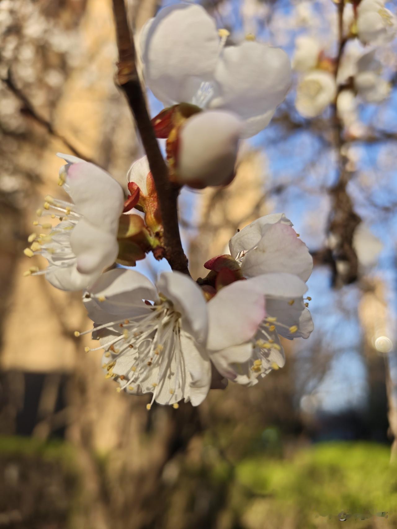 丈夫沉迷色情，妻子运衰
 
丈夫沉迷色情，绝非私事，而是侵蚀婚姻与运势的慢性毒药