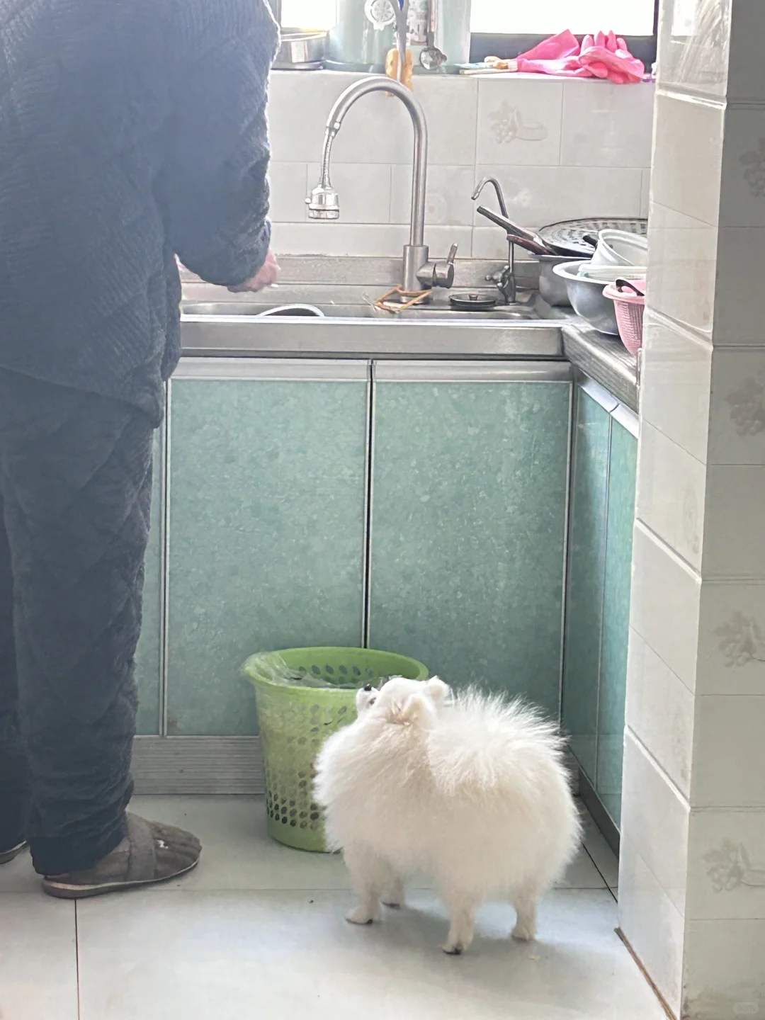 回老家要饭喽