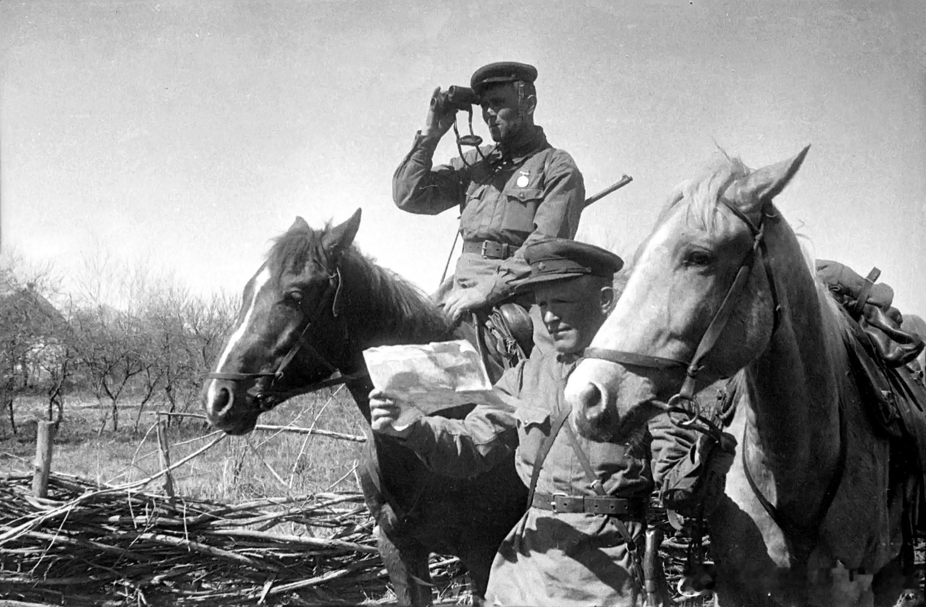 1943年苏军西南方面军近卫第3集团军近卫步兵第59师近卫步兵第176团骑兵侦察