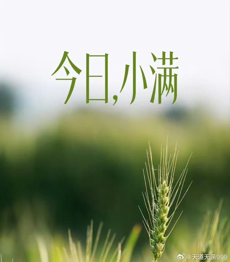 今日，小满人生最好的状态是小满未满。“小满不满，干断田坎”。古人认为小满这天“宜