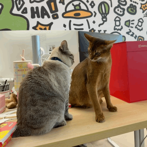 手长的优势一下就体现出来了