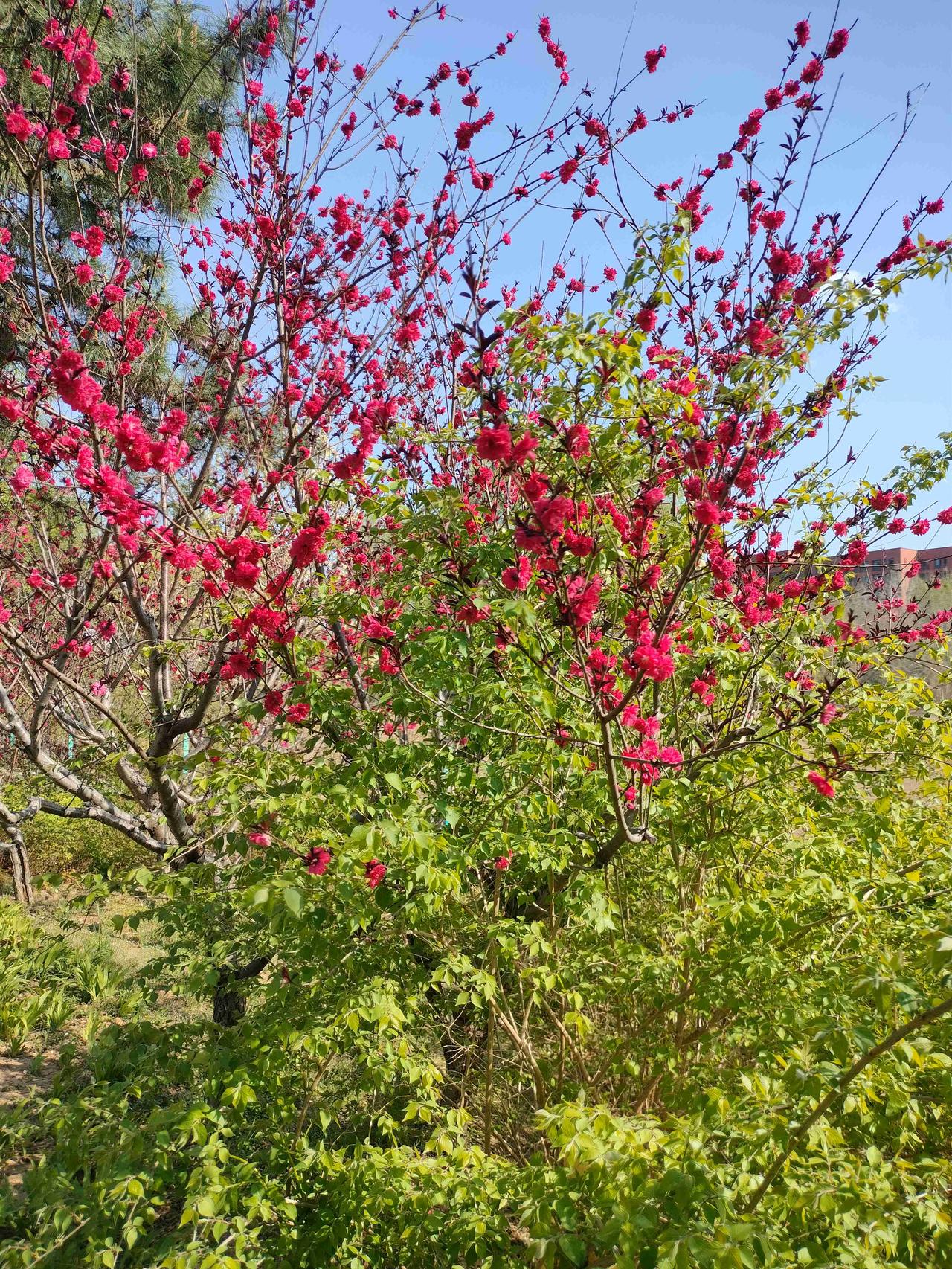 我的今日状态：😁轻松愉快
我这里的天气：☀️晴天