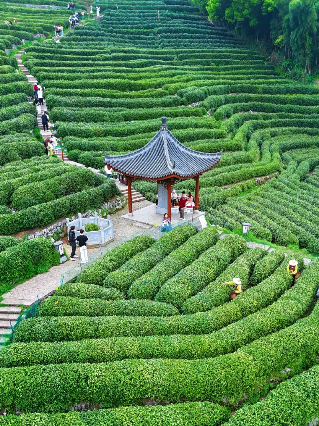 杭州绝美徒步路线！十里琅珰一定要去‼️