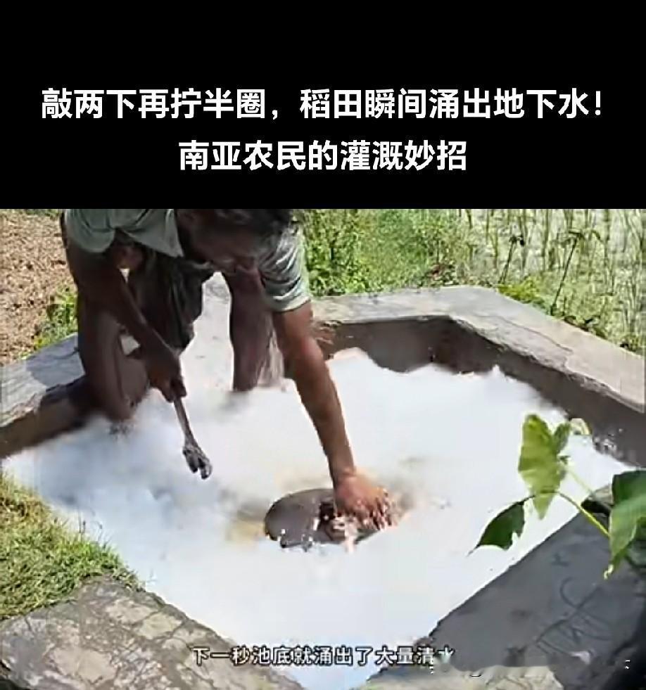 这怎么收费？