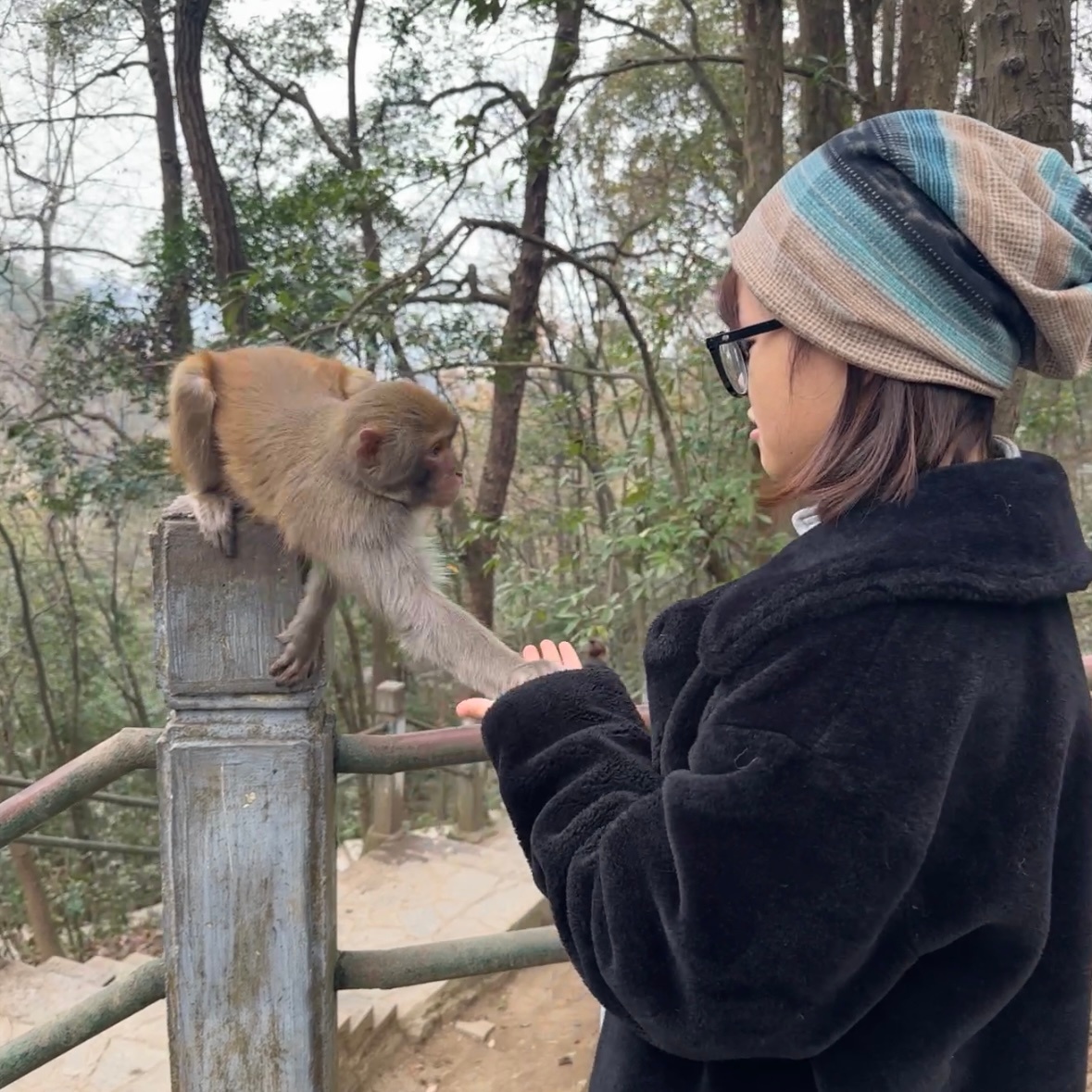 猴好 就喜欢猴那霸道泼辣蛮不讲理的劲儿 Ps ：如果不是猴子主动接近请不要勉强，