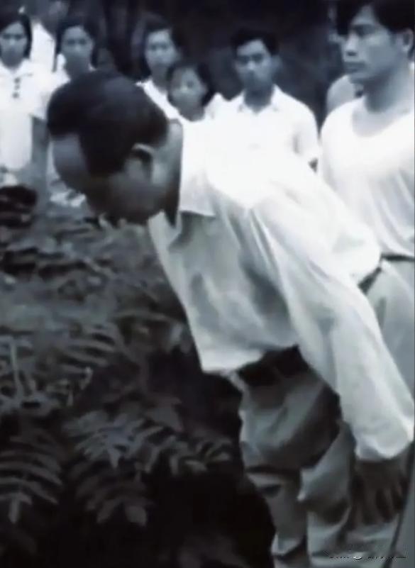 “真是个大孝子！”1959年6月25日，毛主席给父母双亲扫墓，肺腑之言谁看了不动
